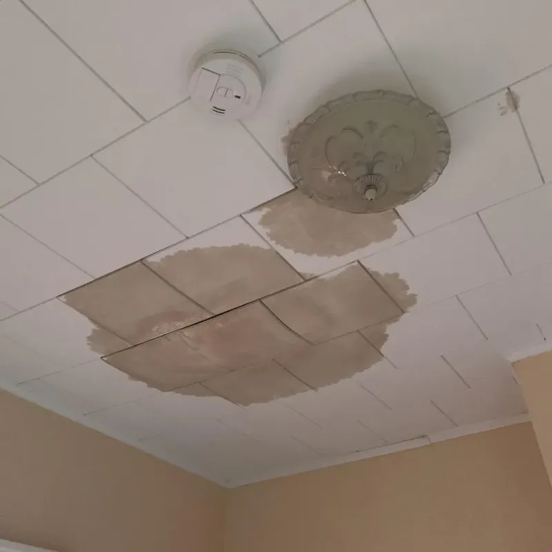 Ceiling Water Damage Repair in Chisago City, MN