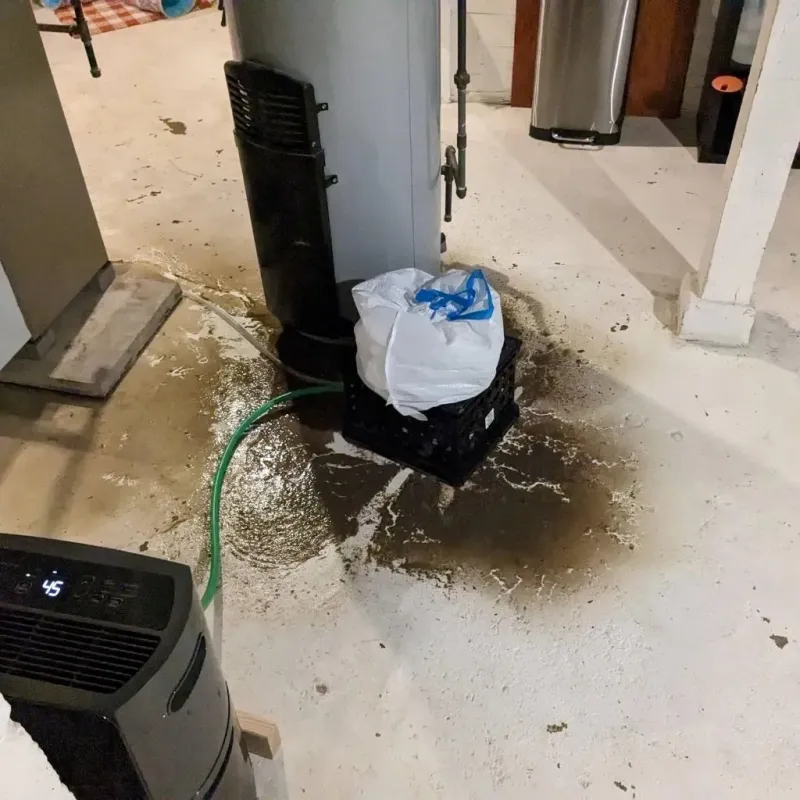 Sewage Backup Cleanup Service in Chisago City, MN